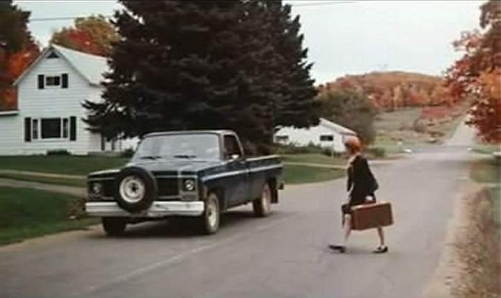 1979 Chevrolet C-10 in The Devonsville Terror