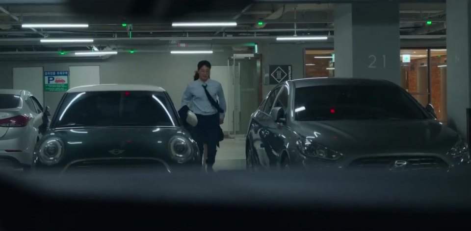 Hyundai Sonata New Rise