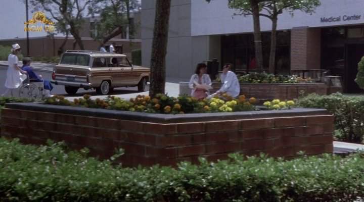 Jeep Grand Wagoneer
