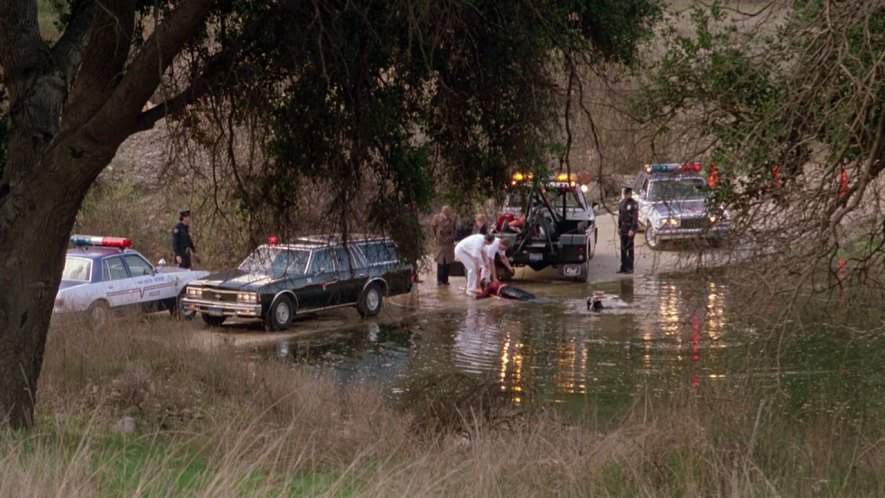 Chevrolet Impala Wagon