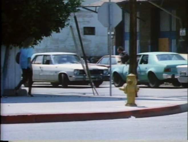 AMC Hornet