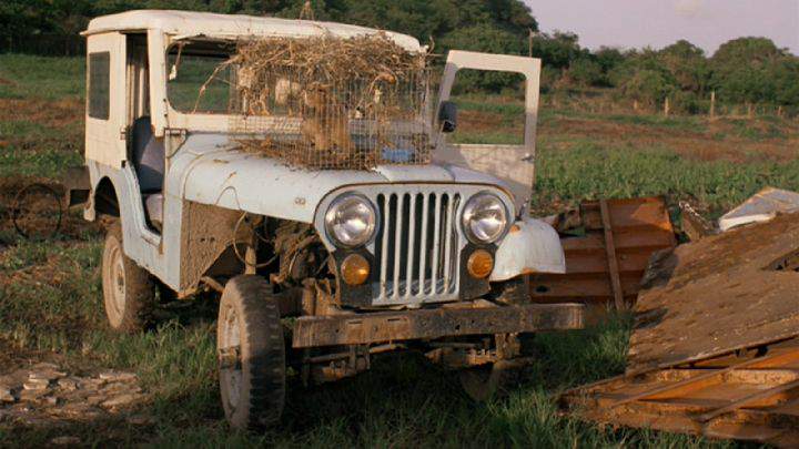 Willys Jeep CJ-5