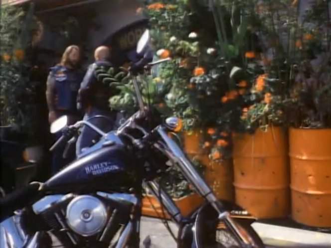 Harley-Davidson FXSTC Softail Custom