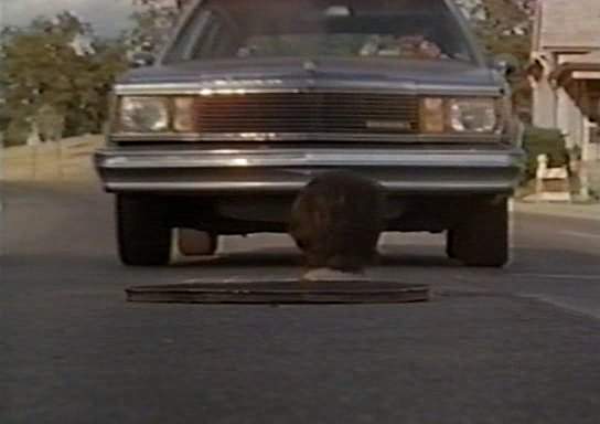 Chevrolet Malibu Wagon