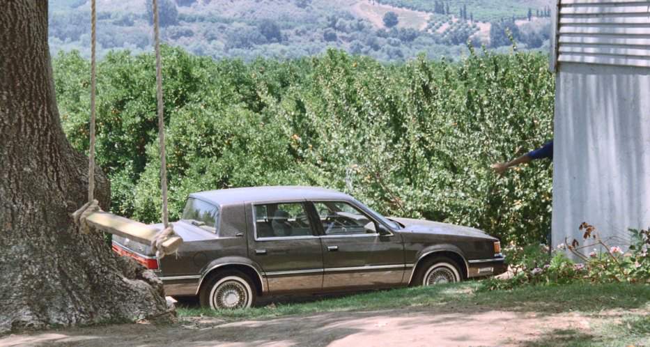 Dodge Dynasty