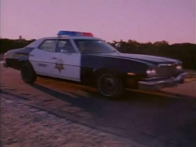 Ford Torino