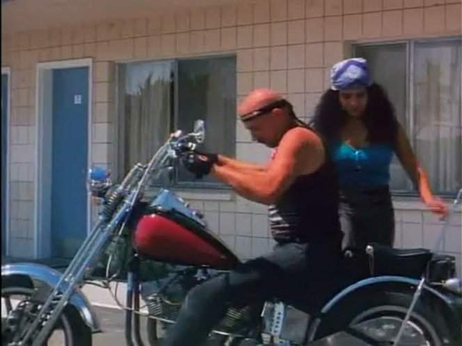 Harley-Davidson Custom Chopper