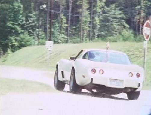 1978 Chevrolet Corvette C3 in Killer!