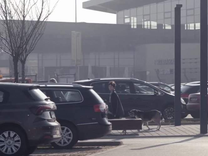 Volkswagen Sharan II
