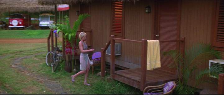 Volkswagen Station Wagon T2