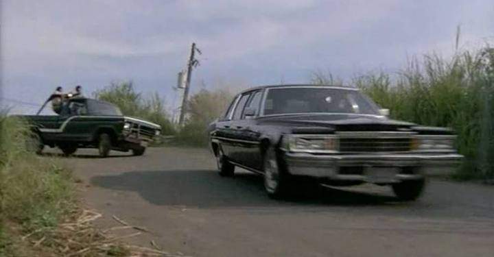 Cadillac Fleetwood Limousine