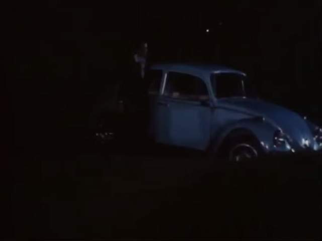 Volkswagen 1300