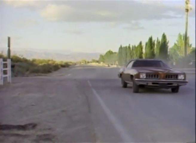 Pontiac Luxury LeMans