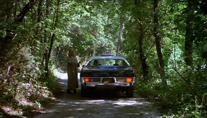 Dodge Monaco