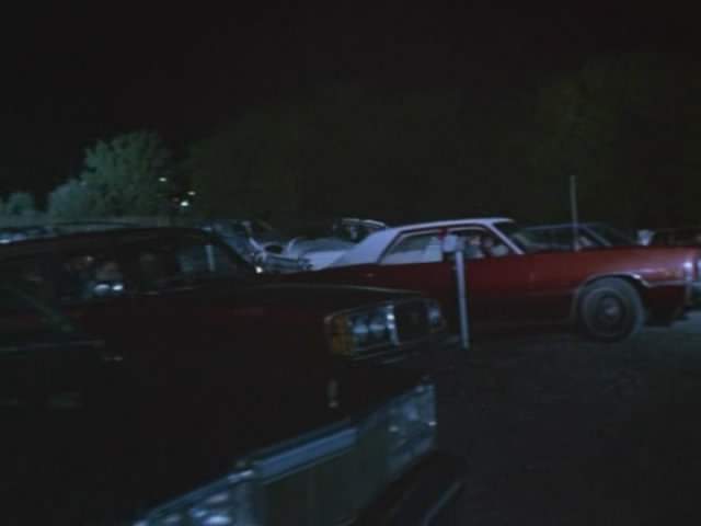 Volvo 245