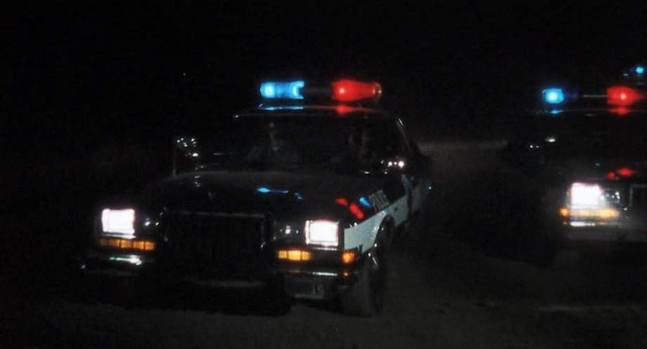 Dodge Diplomat