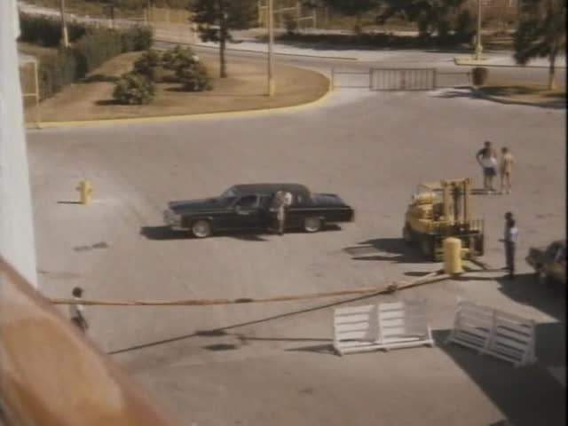 Cadillac Fleetwood Limousine