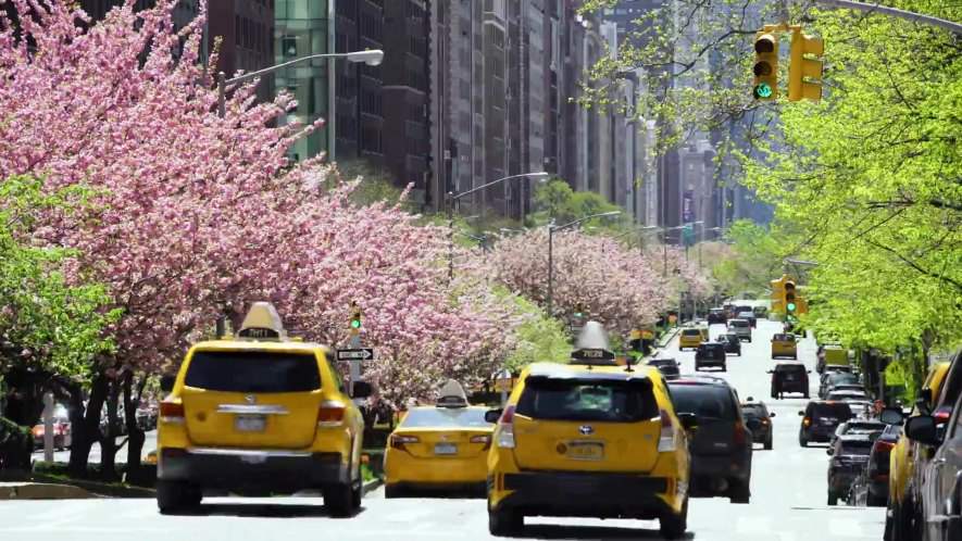 Toyota Highlander Hybrid