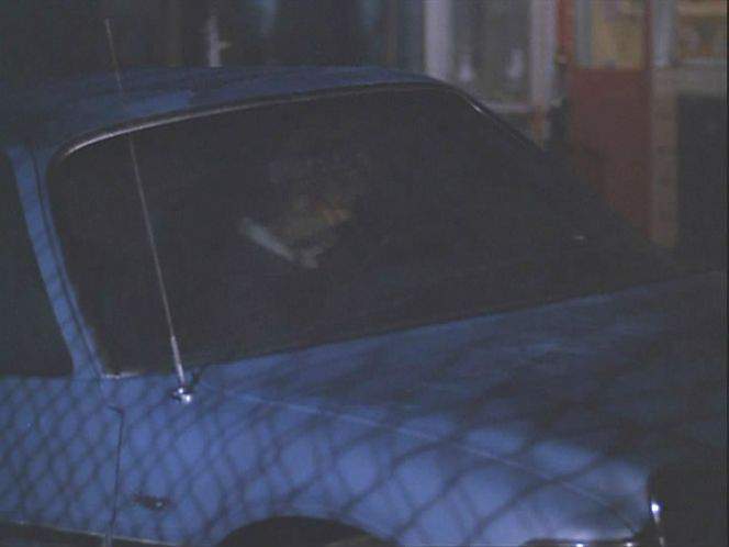 AMC Pacer