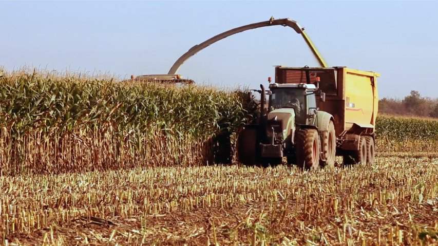 Fendt unknown
