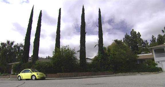 Volkswagen New Beetle