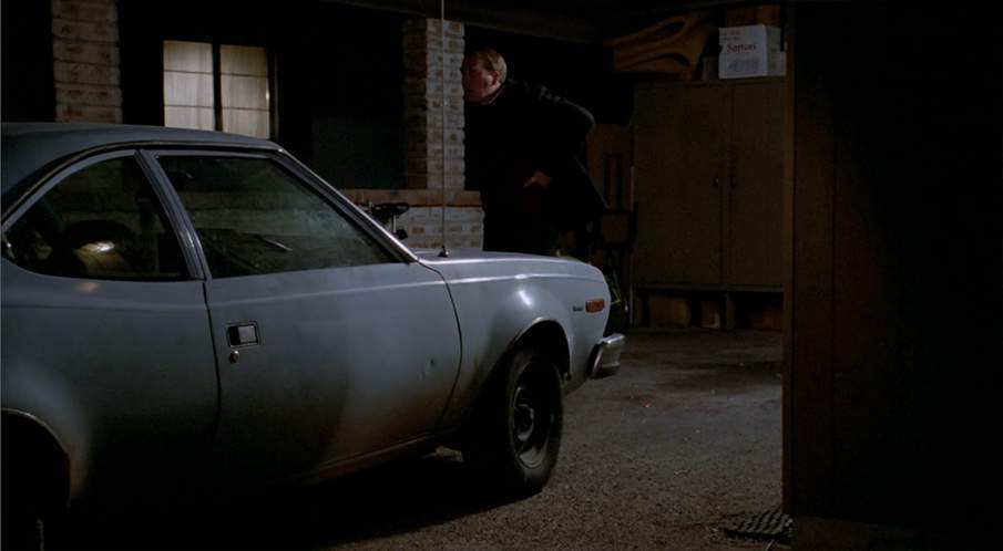 AMC Hornet