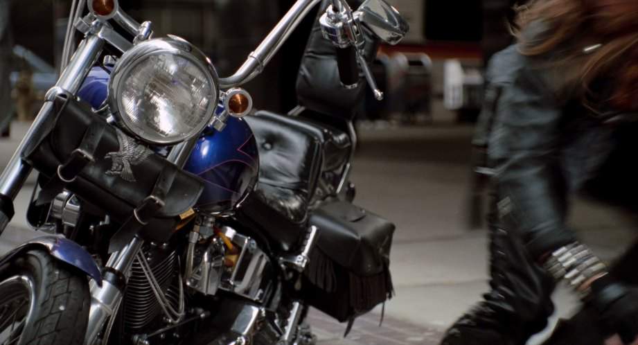 Harley-Davidson Softail Custom