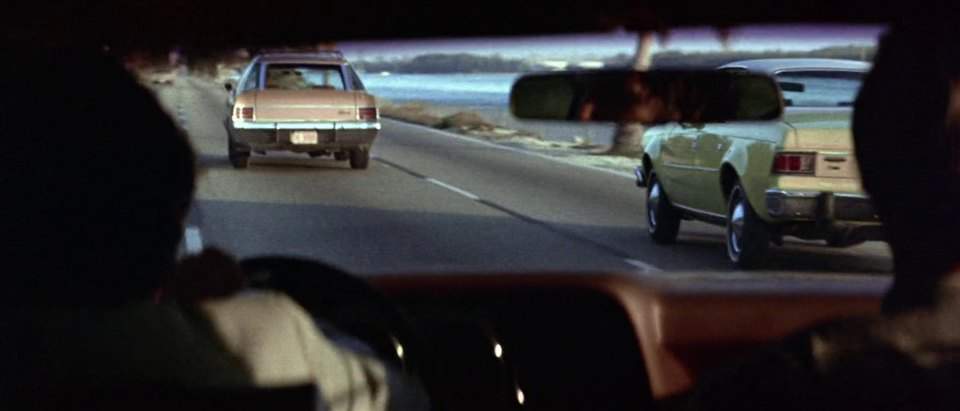 AMC Hornet