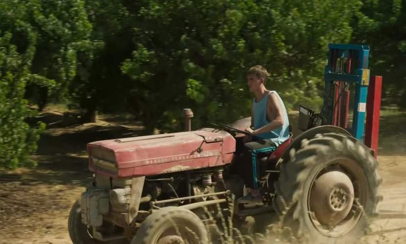 Massey Ferguson unknown