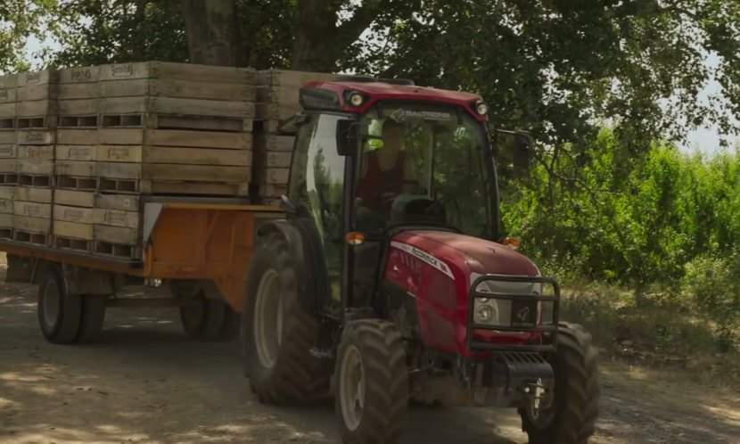 McCormick X4.50 F