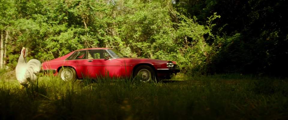 Jaguar XJ-S