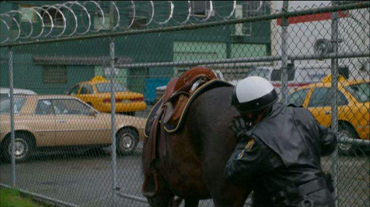 Plymouth Sapporo