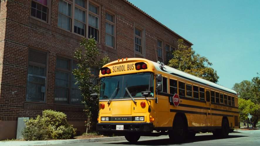 Blue Bird All American