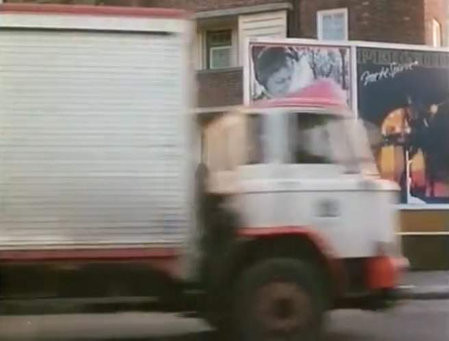 Leyland Terrier