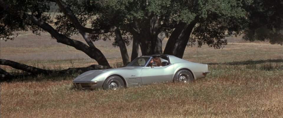 Chevrolet Corvette Stingray C3