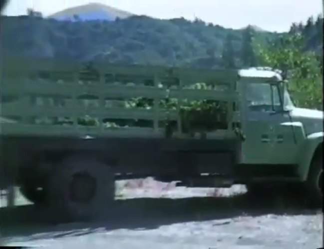 International Harvester Loadstar