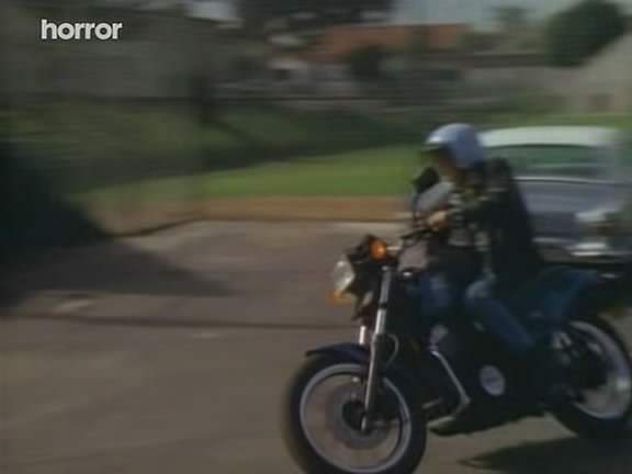 Honda VT 500 Ascot