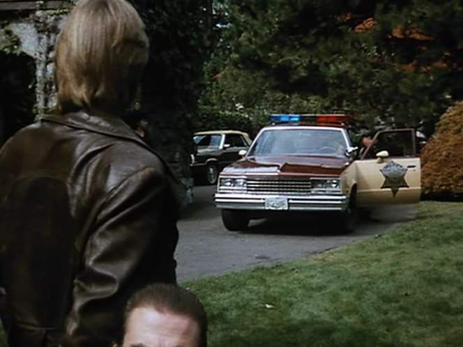 1982 Chevrolet Malibu in Backfire