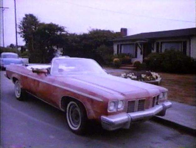 1975 Oldsmobile Delta 88 Royale in Wired