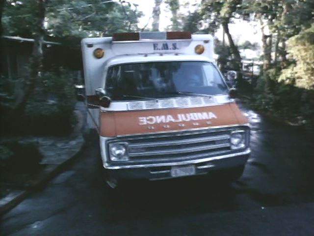 Dodge Kary Van