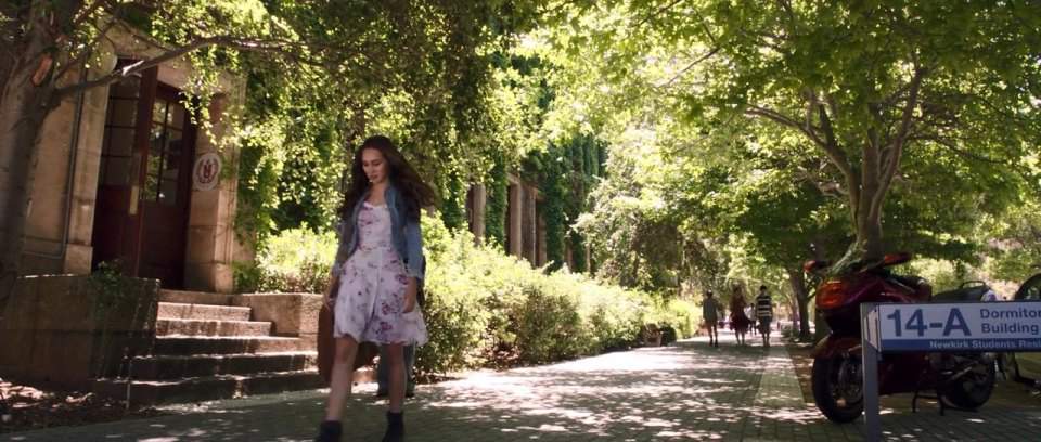 Honda CBR 1100 XX Super Blackbird