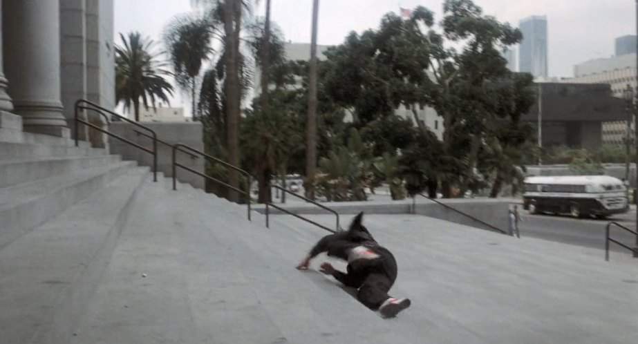 Crown Security Coach