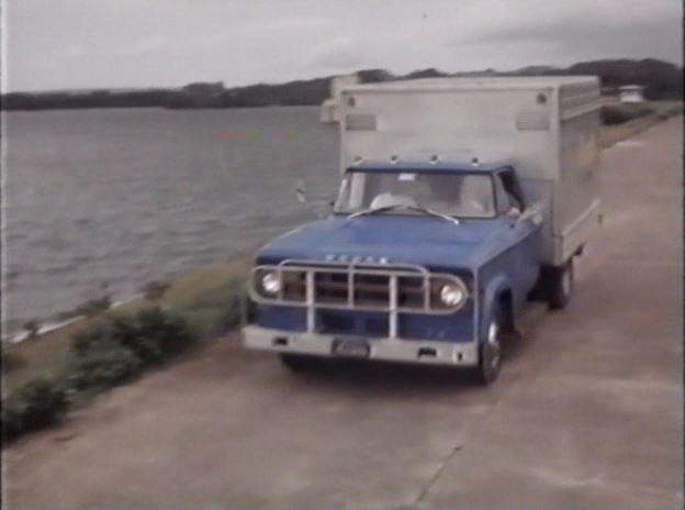 Dodge D-300