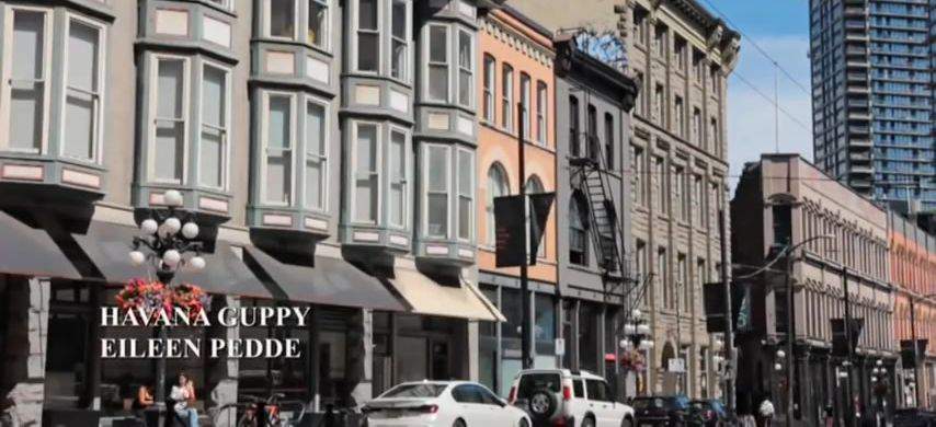 Land-Rover Discovery Series II