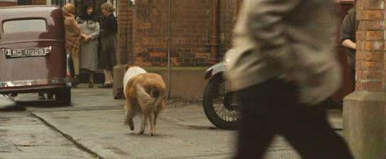 Austin Ten Sherborne