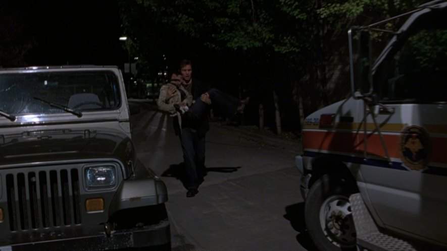 Ford Econoline in Tamara