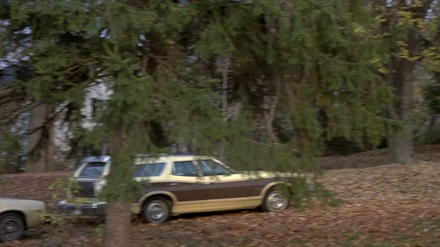 Ford Gran Torino Squire