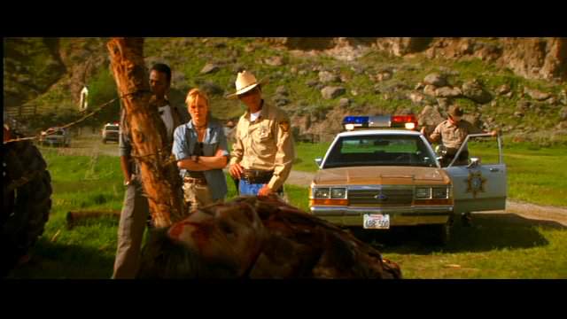1988 Ford LTD Crown Victoria in Bats
