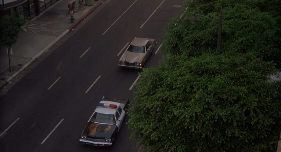 Dodge Monaco
