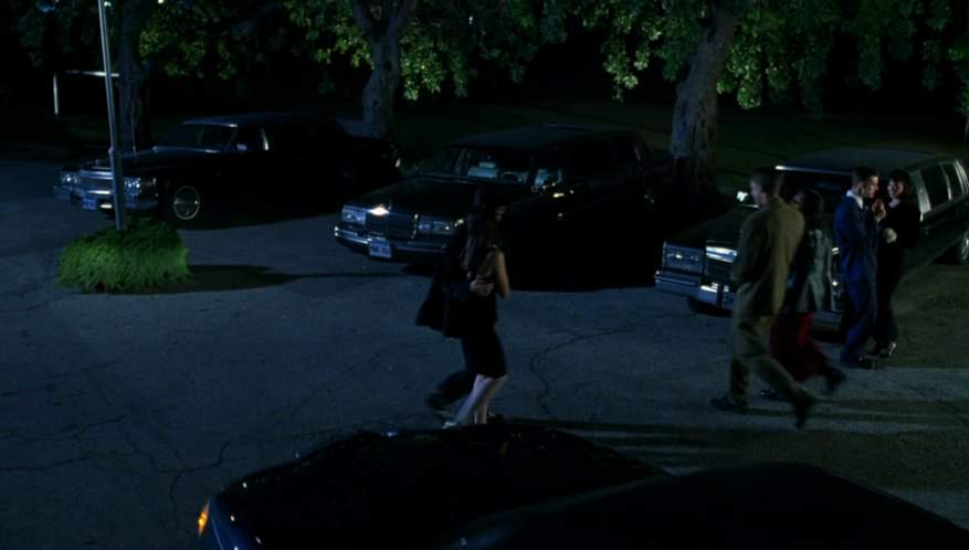 Cadillac Fleetwood Limousine